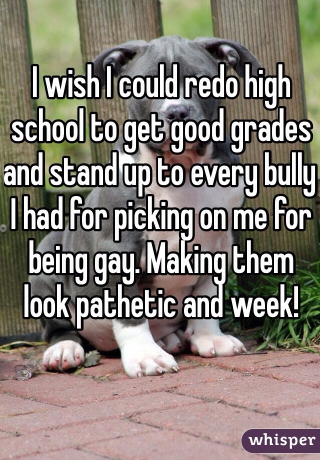 I wish I could redo high school to get good grades and stand up to every bully I had for picking on me for being gay. Making them look pathetic and week!