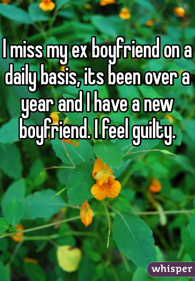 I miss my ex boyfriend on a daily basis, its been over a year and I have a new boyfriend. I feel guilty.