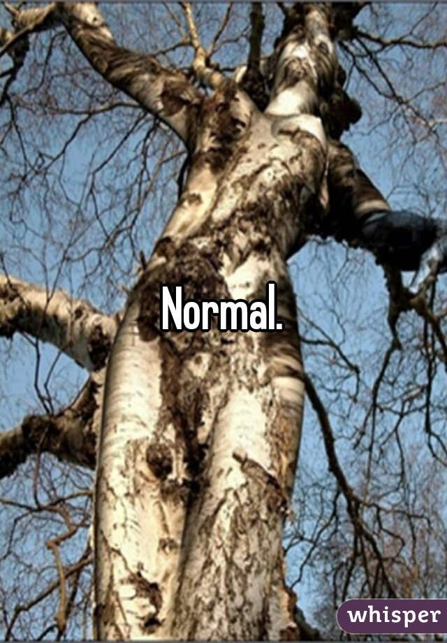 Normal.