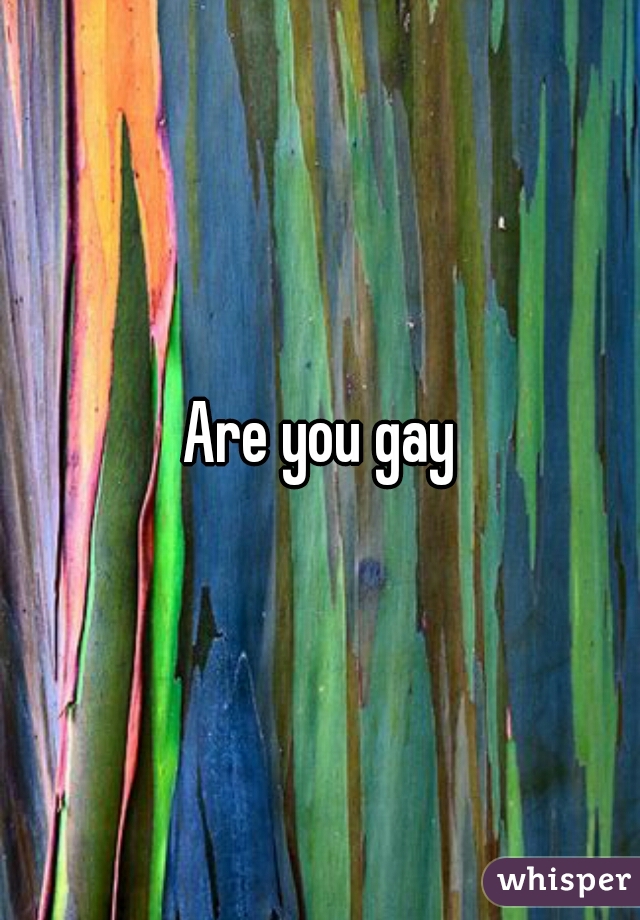 Are you gay