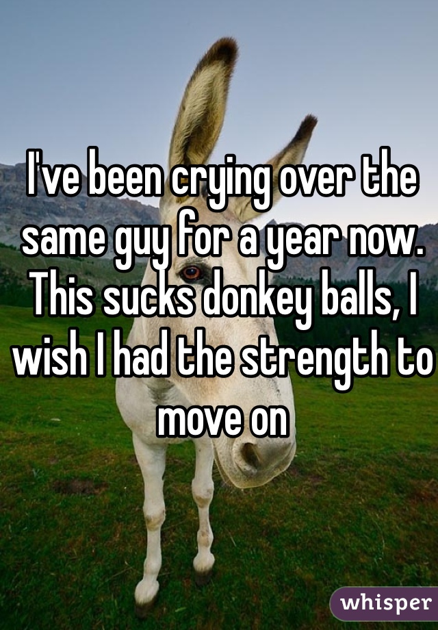 I've been crying over the same guy for a year now. This sucks donkey balls, I wish I had the strength to move on 