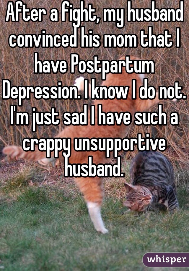 After a fight, my husband convinced his mom that I have Postpartum Depression. I know I do not. I'm just sad I have such a crappy unsupportive husband.