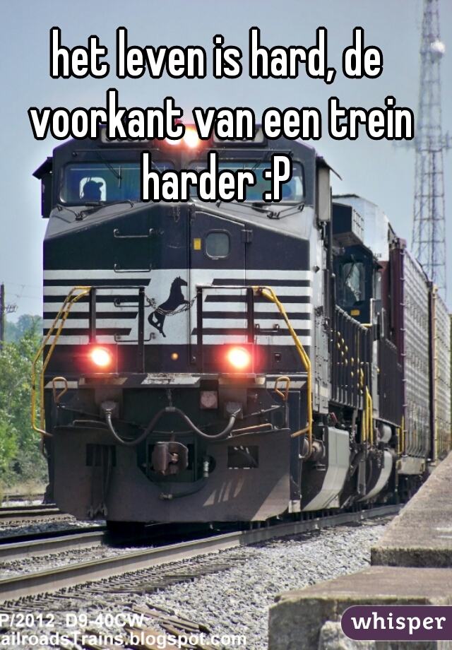 het leven is hard, de voorkant van een trein harder :P 