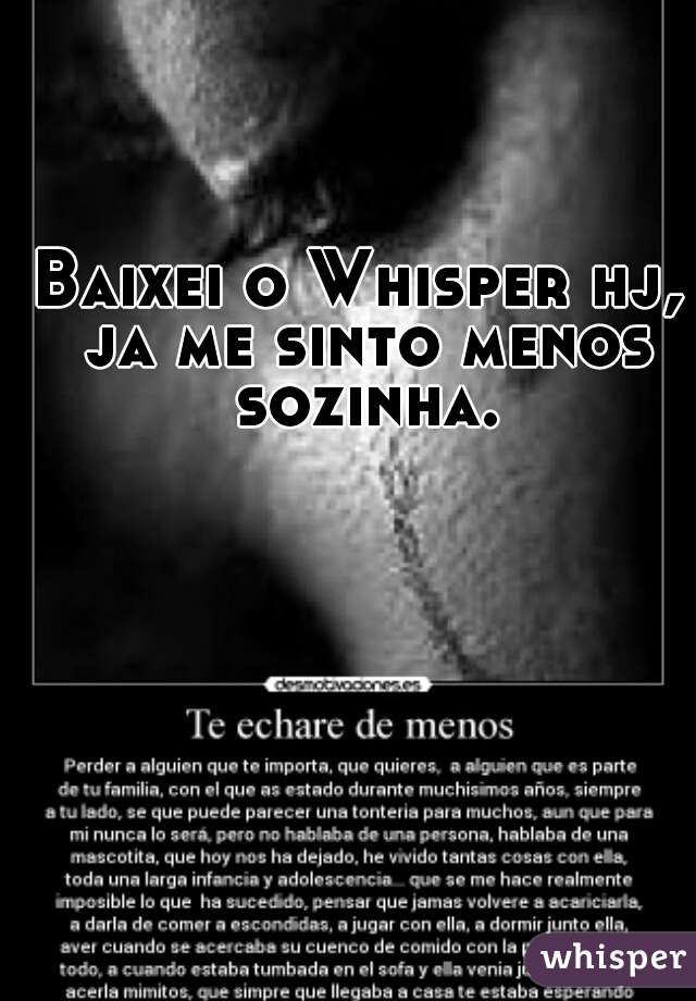 Baixei o Whisper hj, ja me sinto menos sozinha.