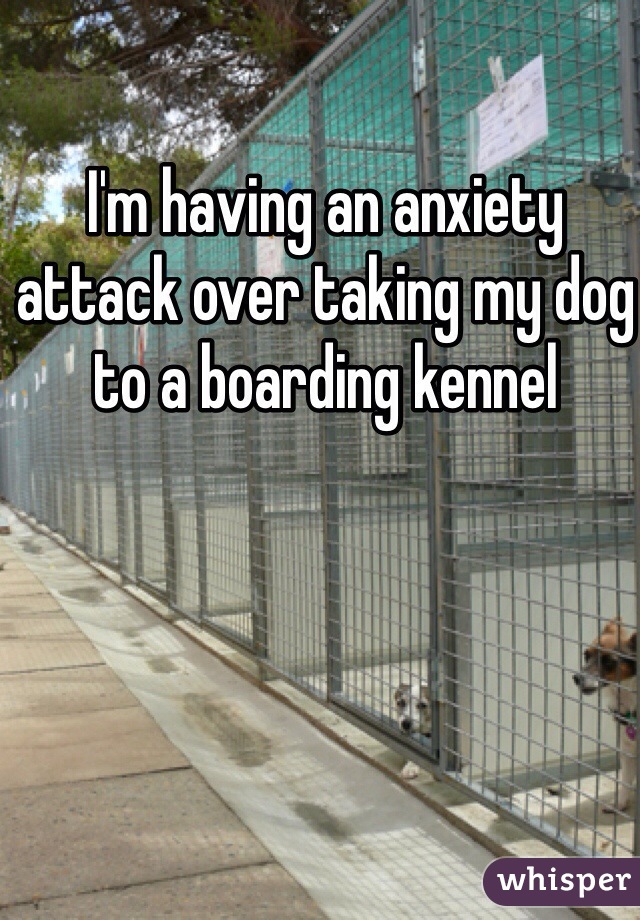 I'm having an anxiety attack over taking my dog to a boarding kennel