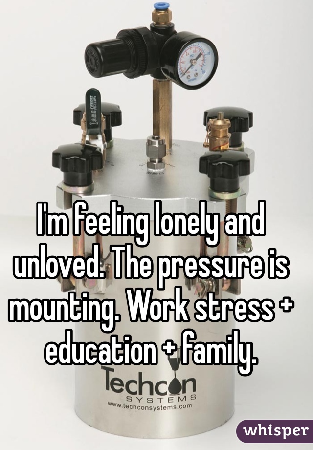 I'm feeling lonely and unloved. The pressure is mounting. Work stress + education + family.