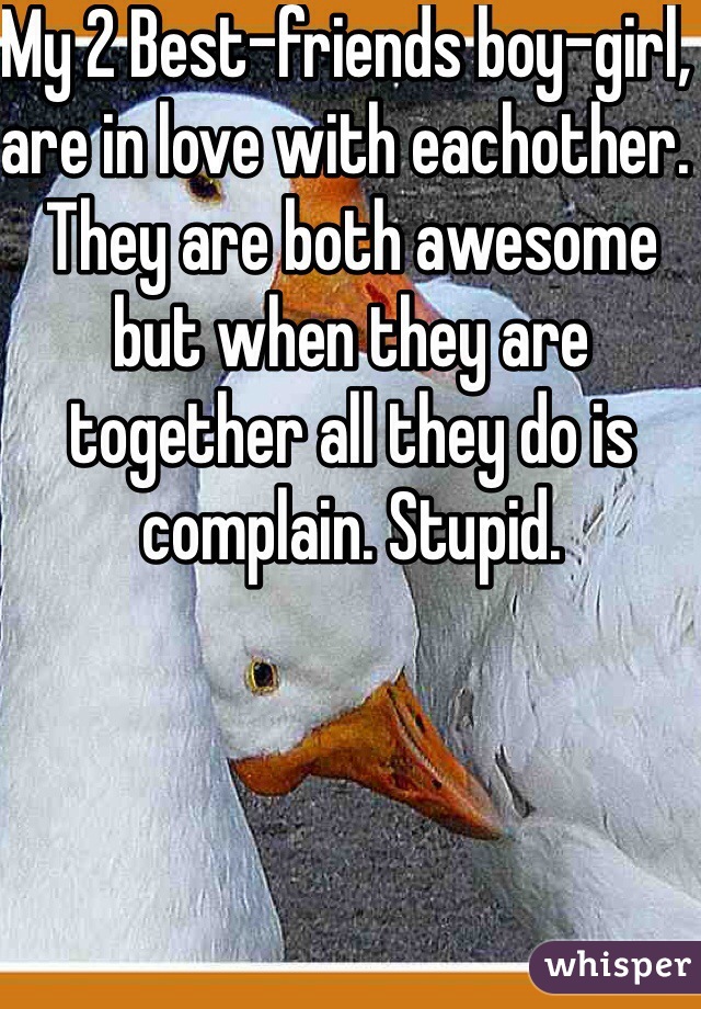 My 2 Best-friends boy-girl, are in love with eachother. They are both awesome but when they are together all they do is complain. Stupid. 