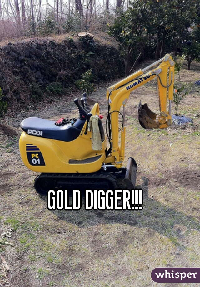 GOLD DIGGER!!!