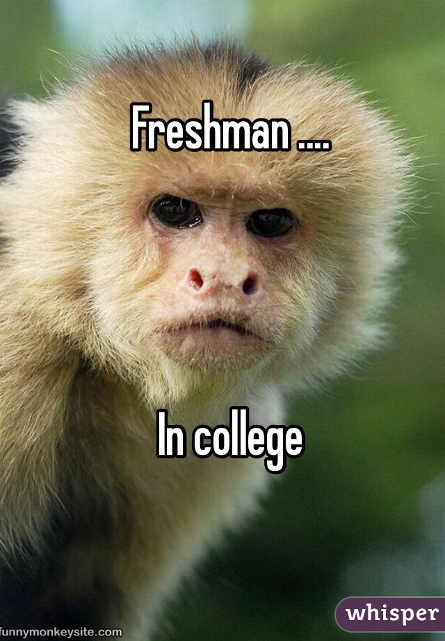 Freshman .... 




In college 