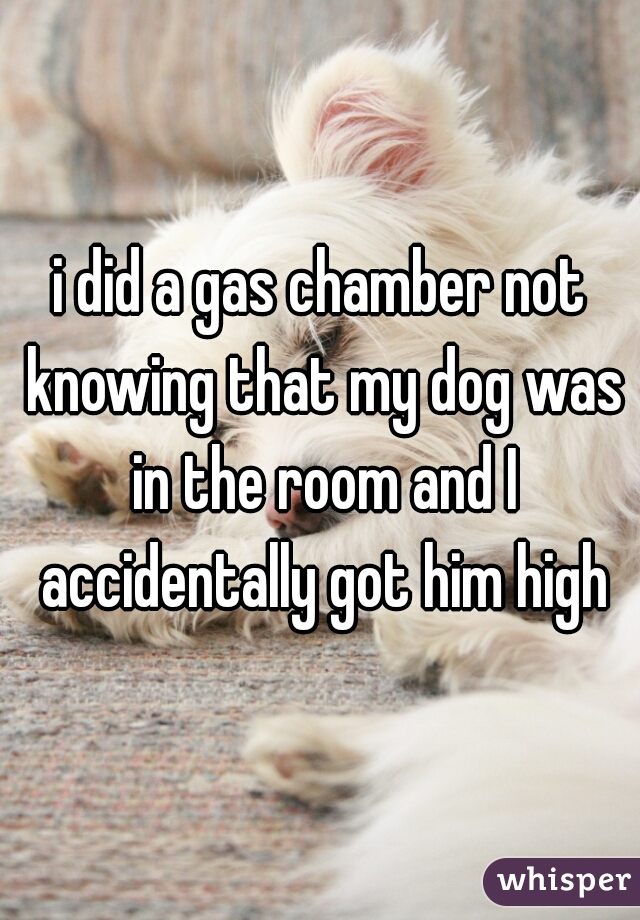 i did a gas chamber not knowing that my dog was in the room and I accidentally got him high