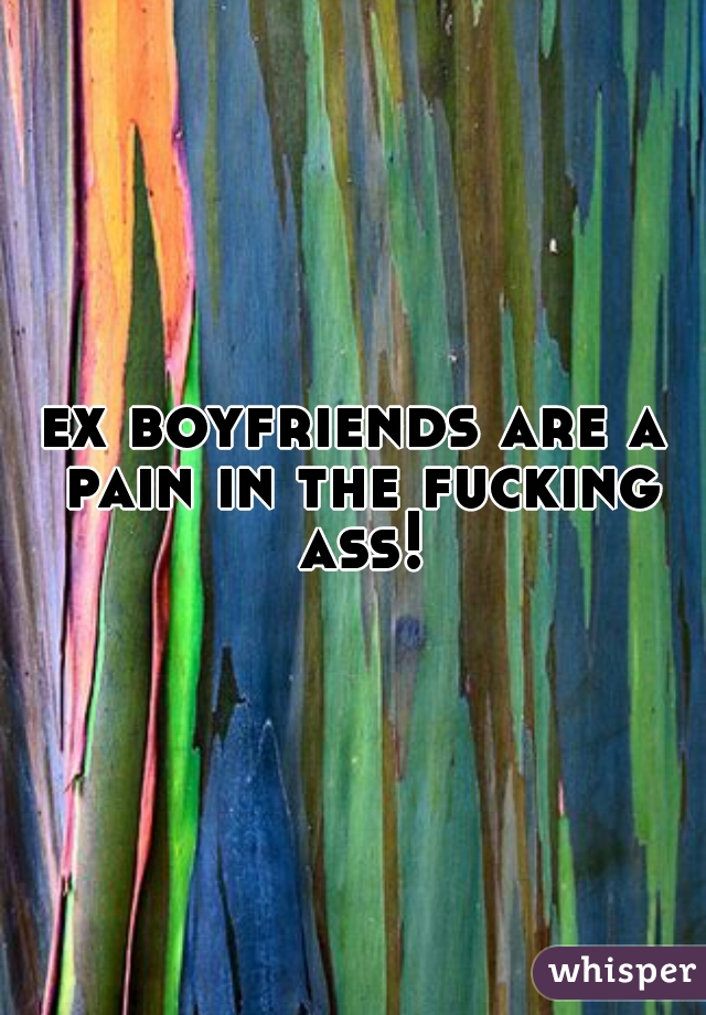 ex boyfriends are a pain in the fucking ass!