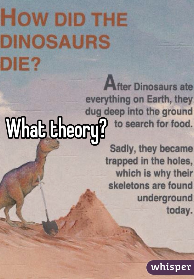 What theory?