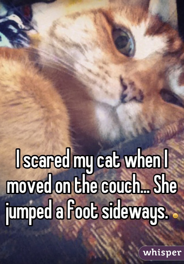 I scared my cat when I moved on the couch... She jumped a foot sideways. 😄