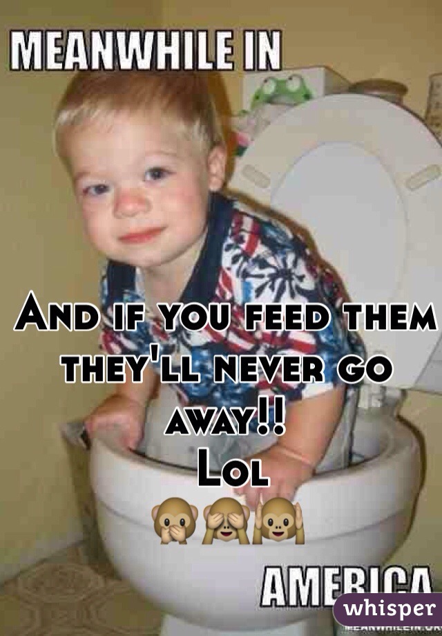 And if you feed them they'll never go away!!
 Lol
🙊🙈🙉