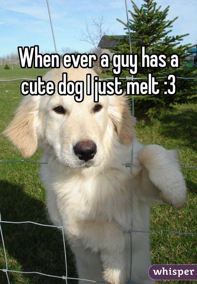 When ever a guy has a cute dog I just melt :3