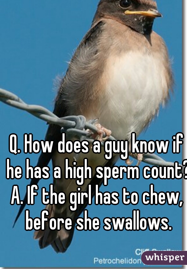 Q. How does a guy know if he has a high sperm count?

A. If the girl has to chew, before she swallows.