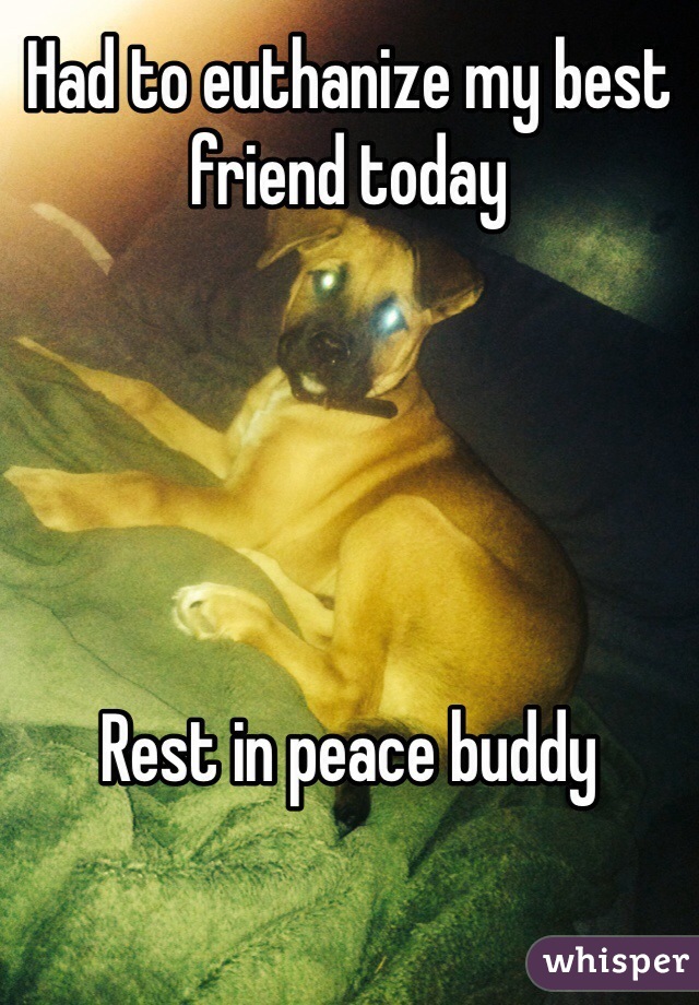 Had to euthanize my best friend today





Rest in peace buddy 