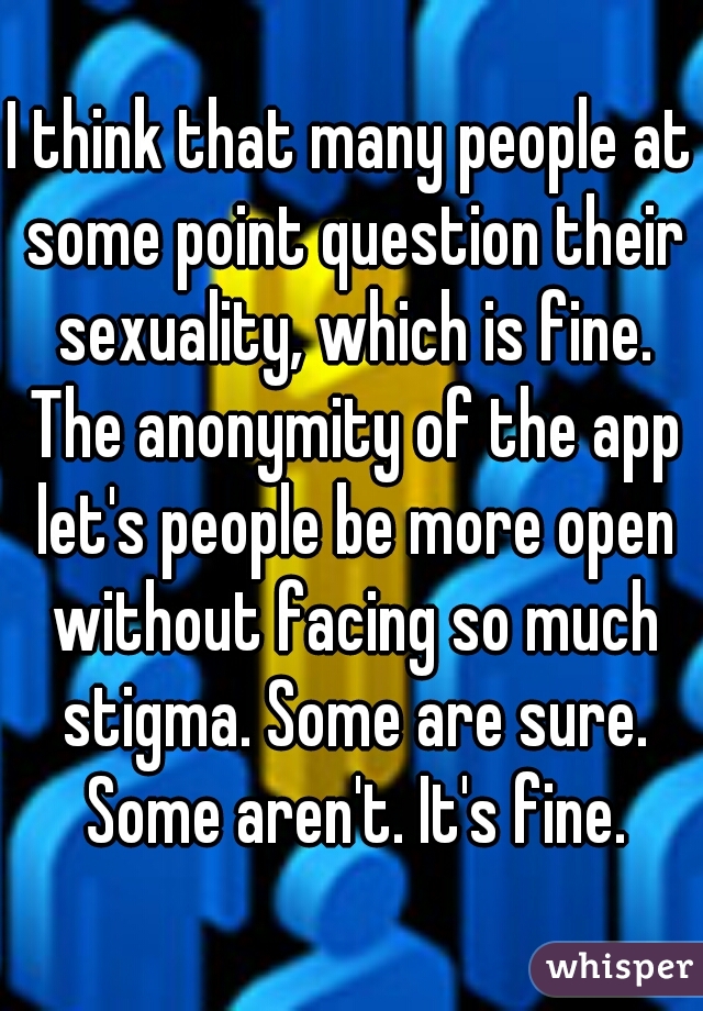 I think that many people at some point question their sexuality, which is fine. The anonymity of the app let's people be more open without facing so much stigma. Some are sure. Some aren't. It's fine.