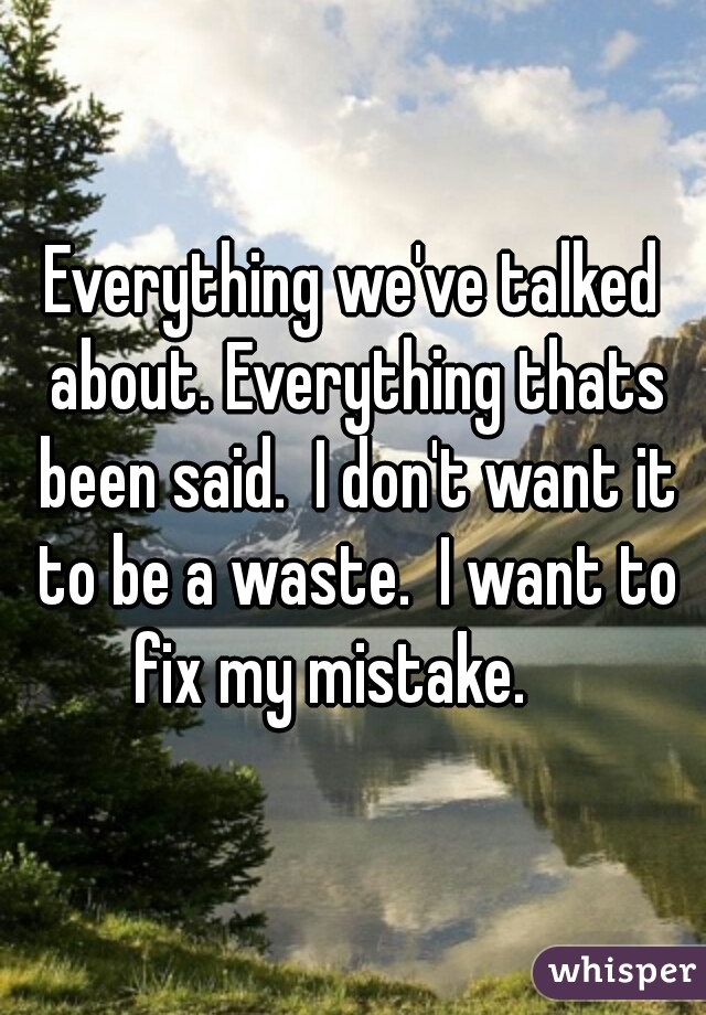 Everything we've talked about. Everything thats been said.  I don't want it to be a waste.  I want to fix my mistake.    