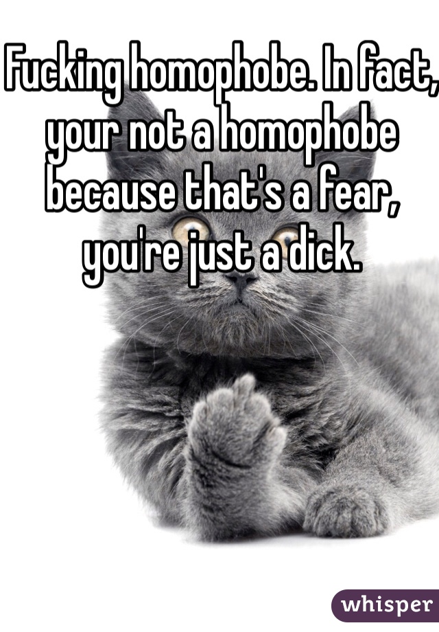 Fucking homophobe. In fact, your not a homophobe because that's a fear, you're just a dick.