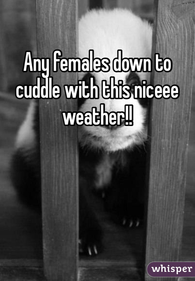 Any females down to cuddle with this niceee weather!!