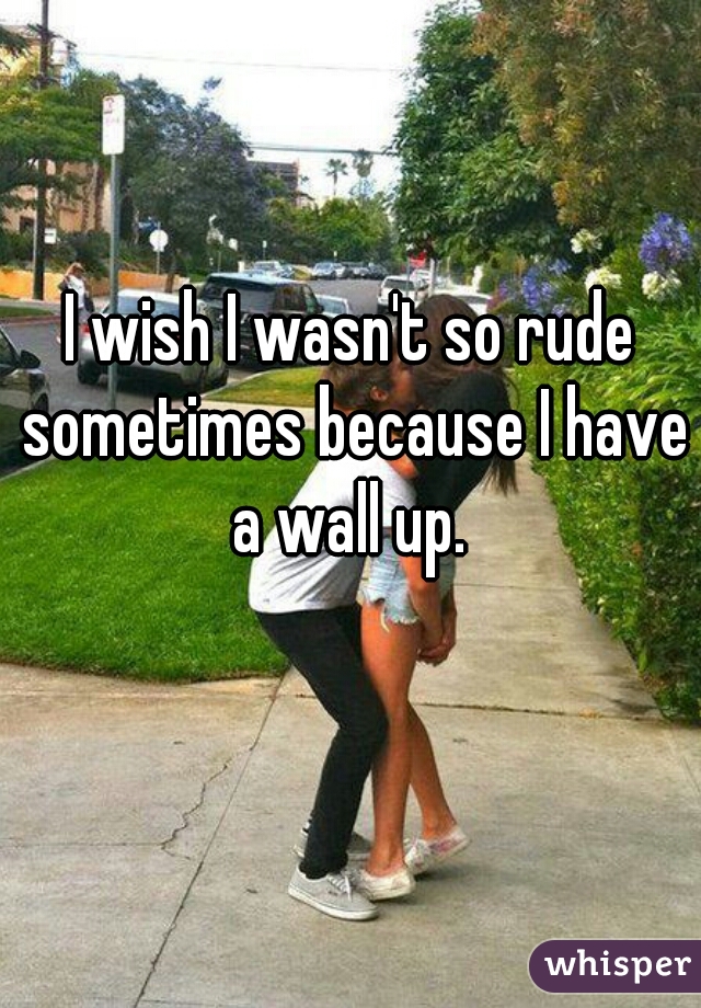 I wish I wasn't so rude sometimes because I have a wall up. 
  