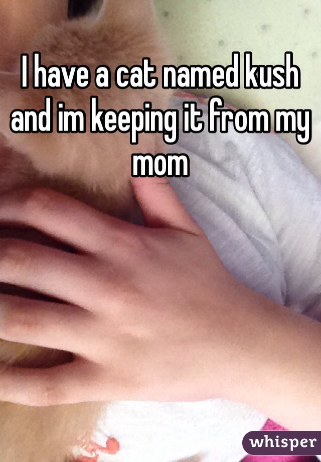 I have a cat named kush and im keeping it from my mom