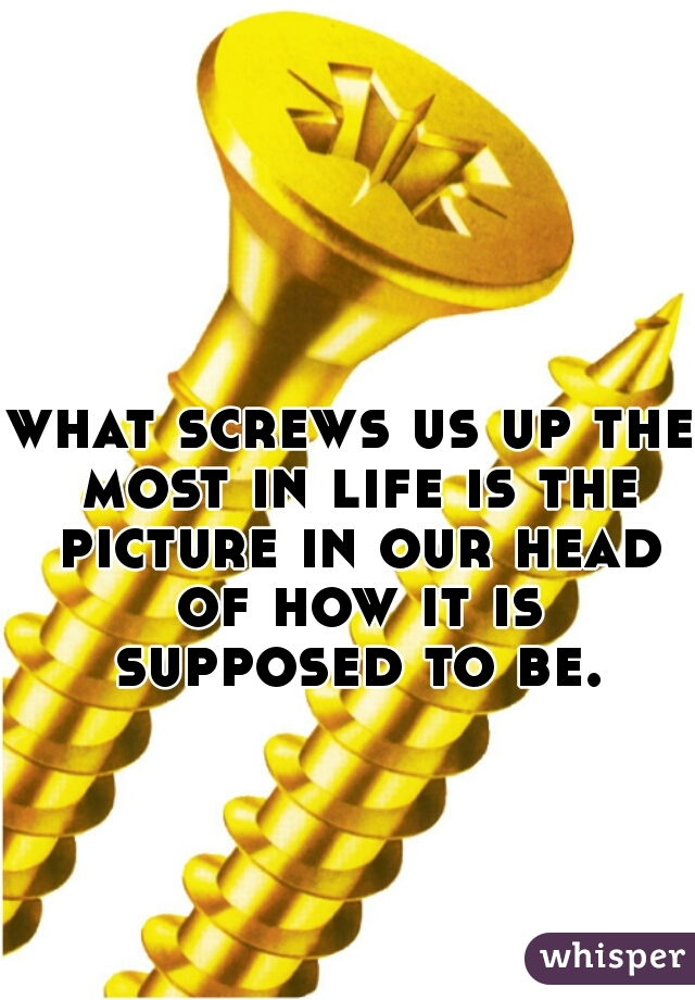 what screws us up the most in life is the picture in our head of how it is supposed to be.