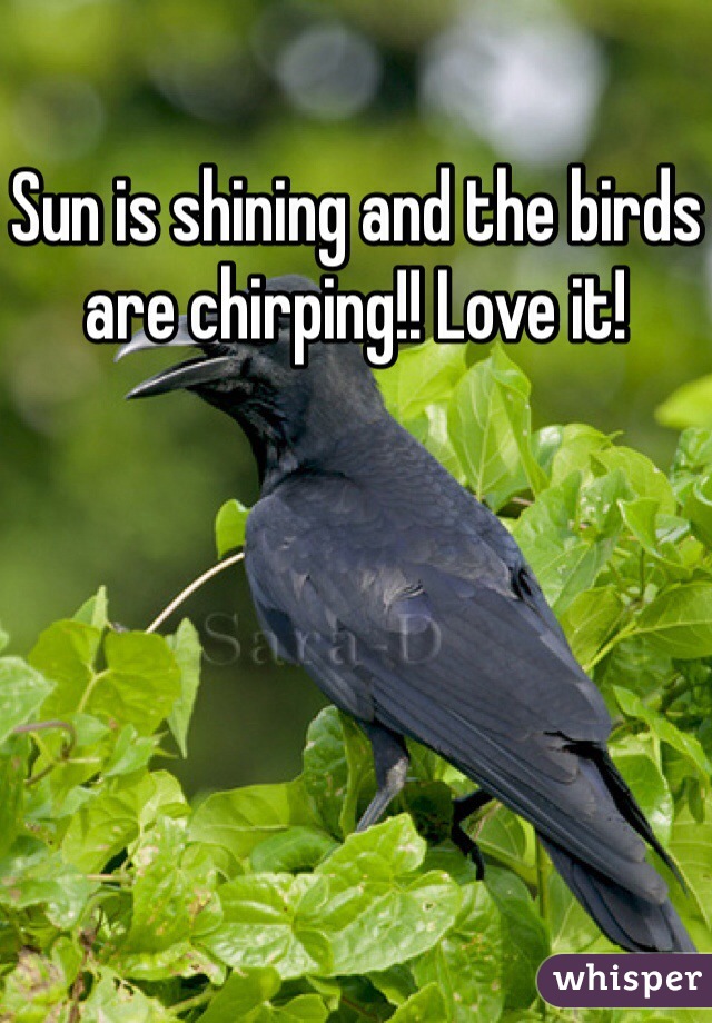 Sun is shining and the birds are chirping!! Love it!