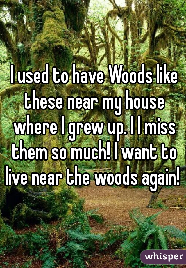  I used to have Woods like these near my house where I grew up. I I miss them so much! I want to live near the woods again! 