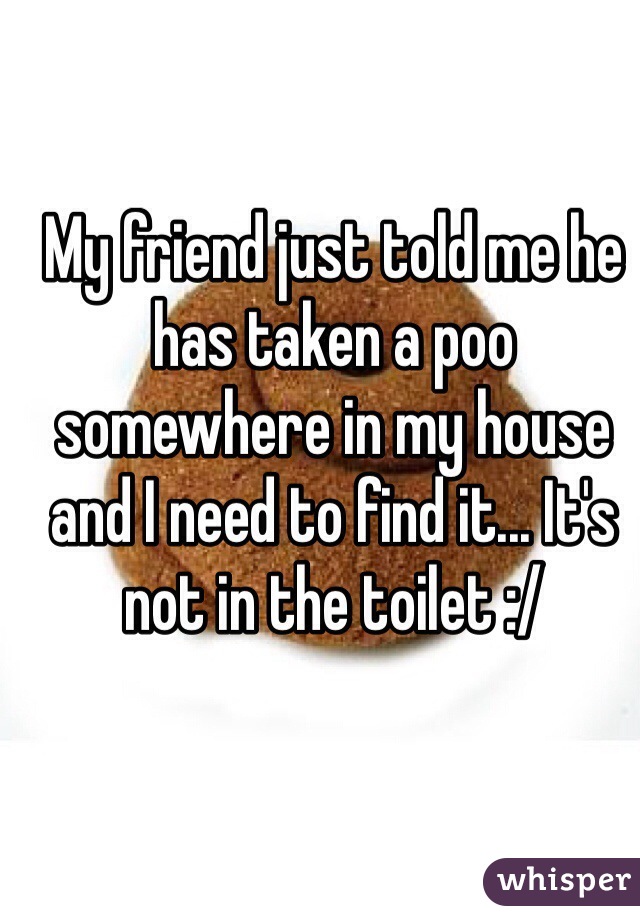 My friend just told me he has taken a poo somewhere in my house and I need to find it... It's not in the toilet :/ 