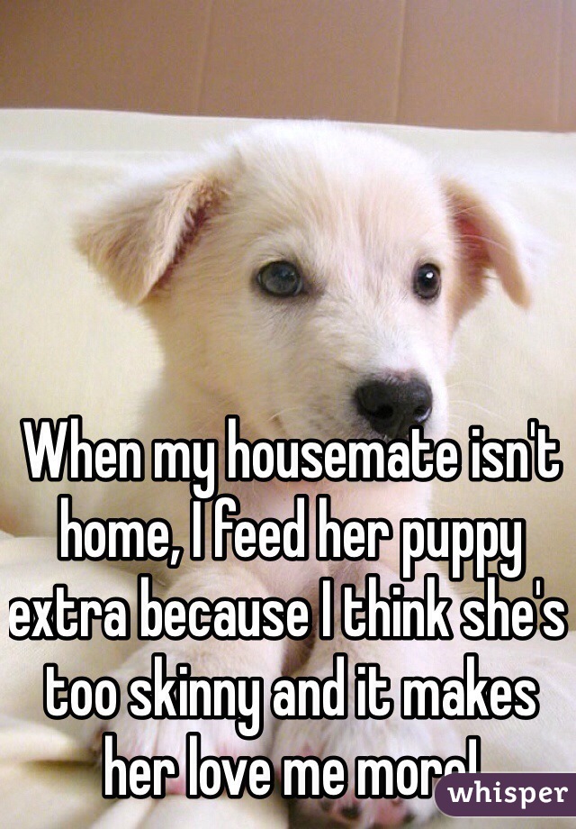 When my housemate isn't home, I feed her puppy extra because I think she's too skinny and it makes her love me more!