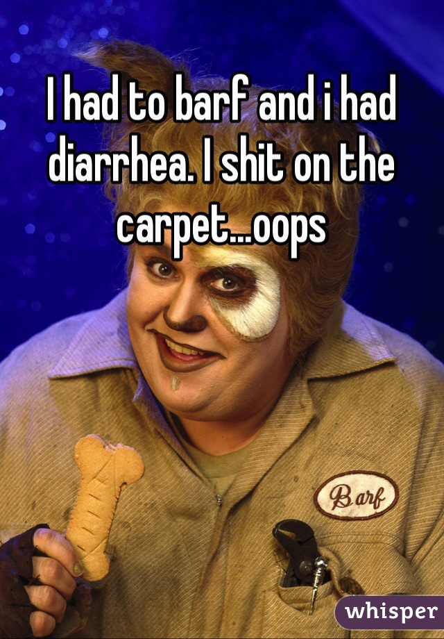 I had to barf and i had diarrhea. I shit on the carpet...oops 