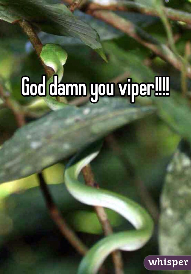 God damn you viper!!!!