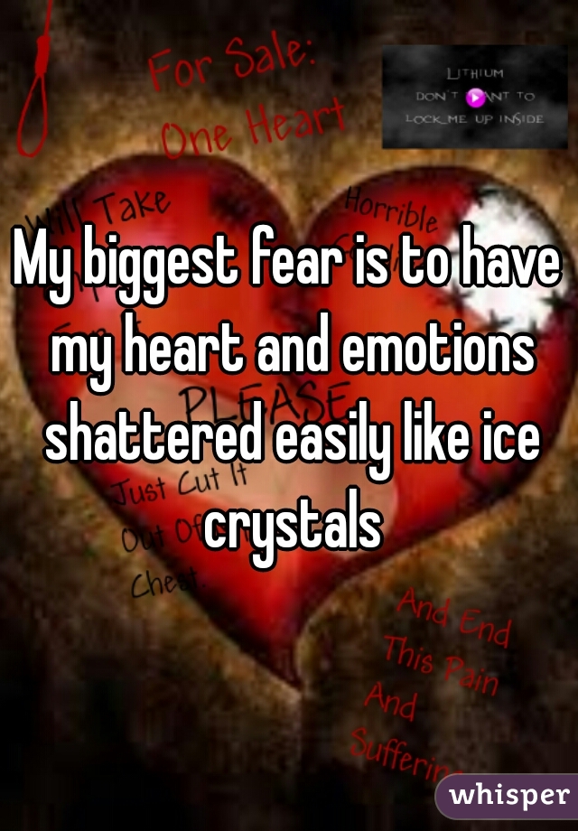 My biggest fear is to have my heart and emotions shattered easily like ice crystals