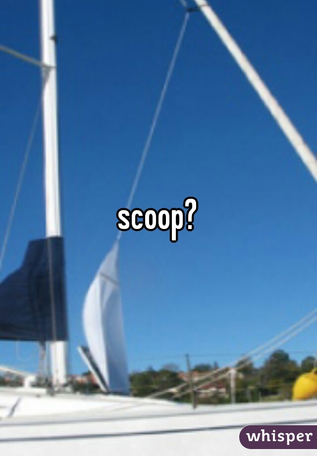 scoop?