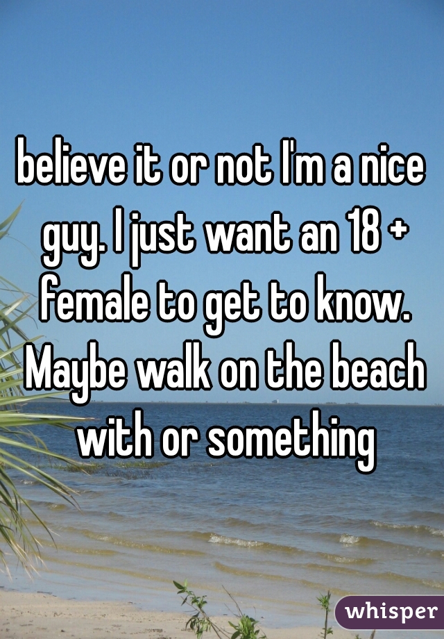 believe it or not I'm a nice guy. I just want an 18 + female to get to know. Maybe walk on the beach with or something