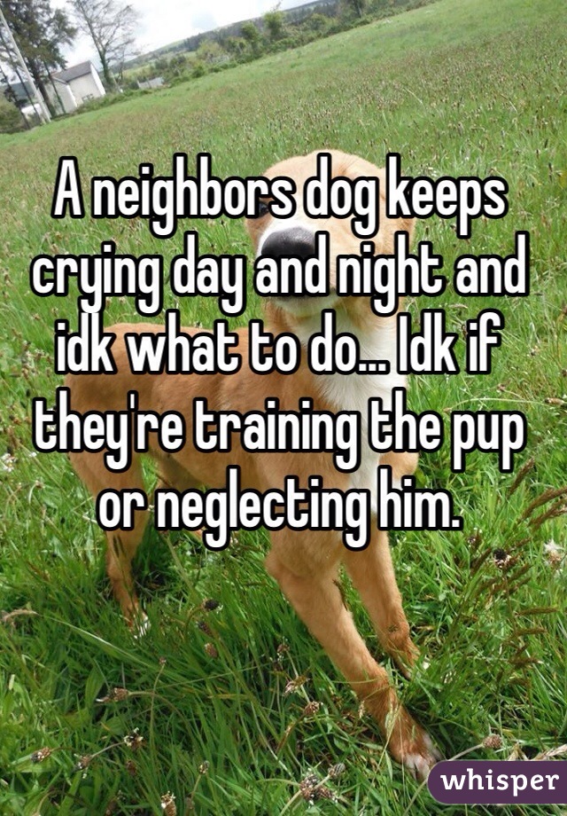 A neighbors dog keeps crying day and night and idk what to do... Idk if they're training the pup or neglecting him.