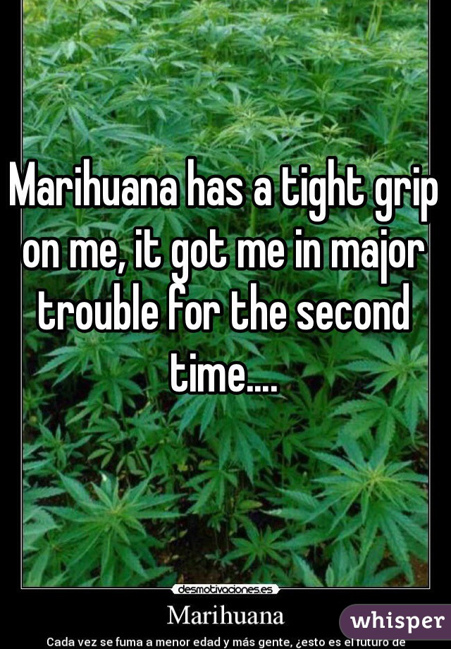 Marihuana has a tight grip on me, it got me in major trouble for the second time.... 