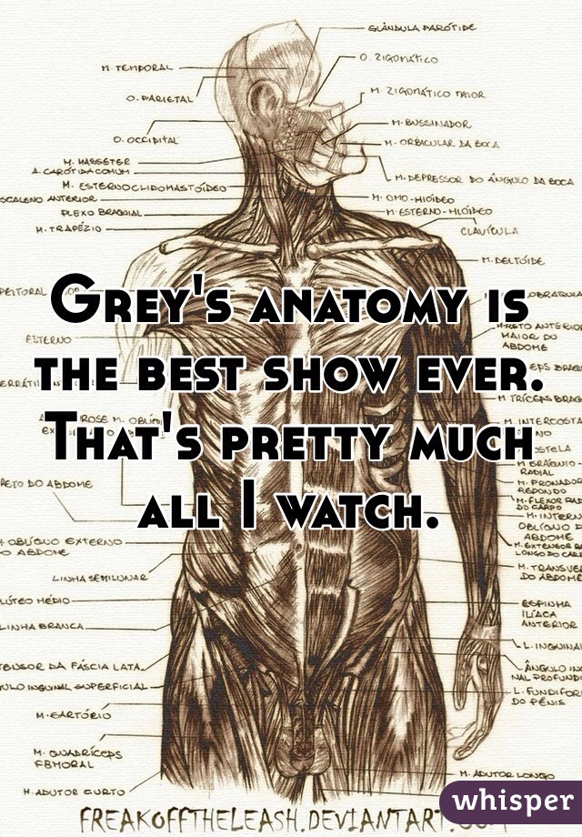 Grey's anatomy is the best show ever. That's pretty much all I watch.