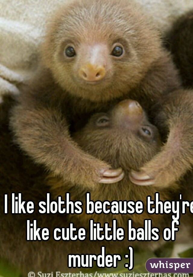 I like sloths because they're like cute little balls of murder :) 