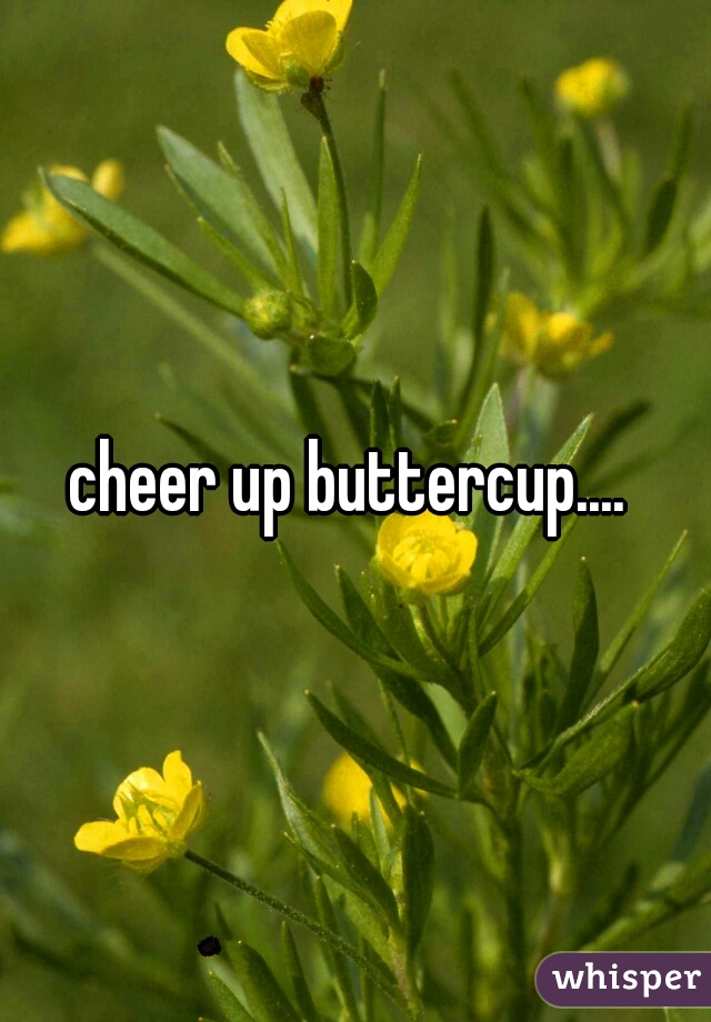 cheer up buttercup.... 