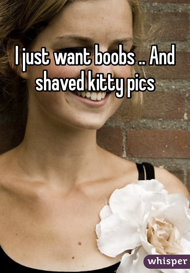 I just want boobs .. And shaved kitty pics