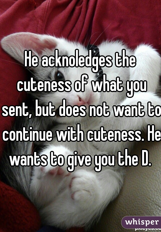 He acknoledges the cuteness of what you sent, but does not want to continue with cuteness. He wants to give you the D. 