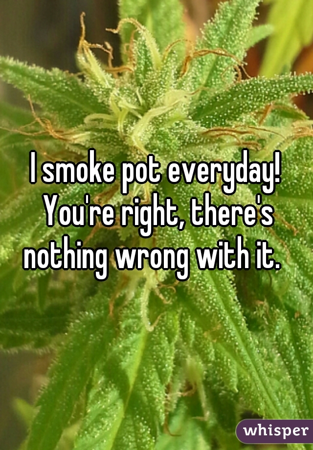 I smoke pot everyday! You're right, there's nothing wrong with it.  