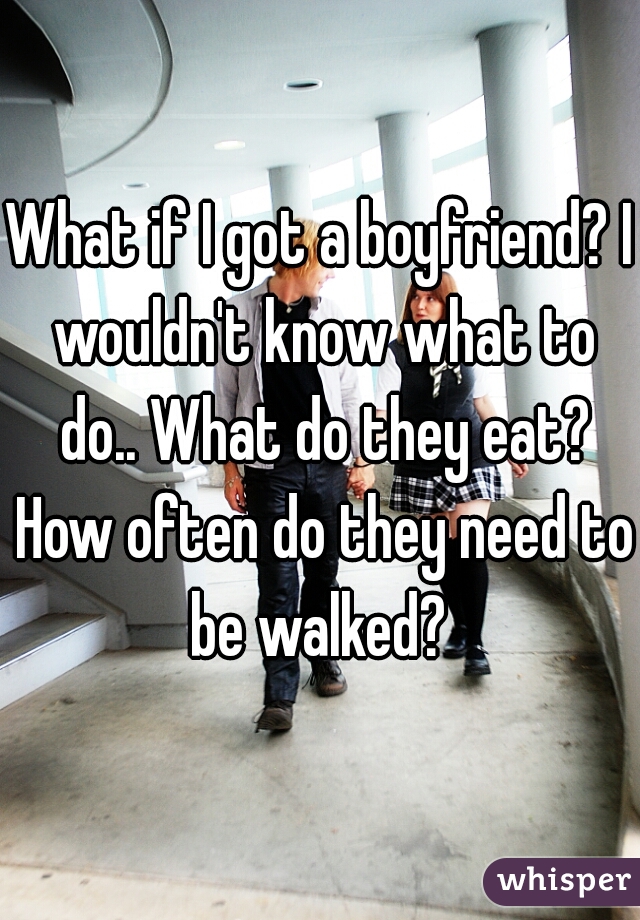 What if I got a boyfriend? I wouldn't know what to do.. What do they eat? How often do they need to be walked? 