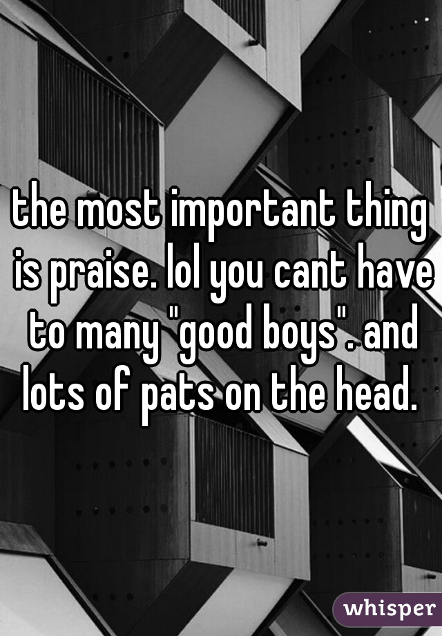 the most important thing is praise. lol you cant have to many "good boys". and lots of pats on the head. 