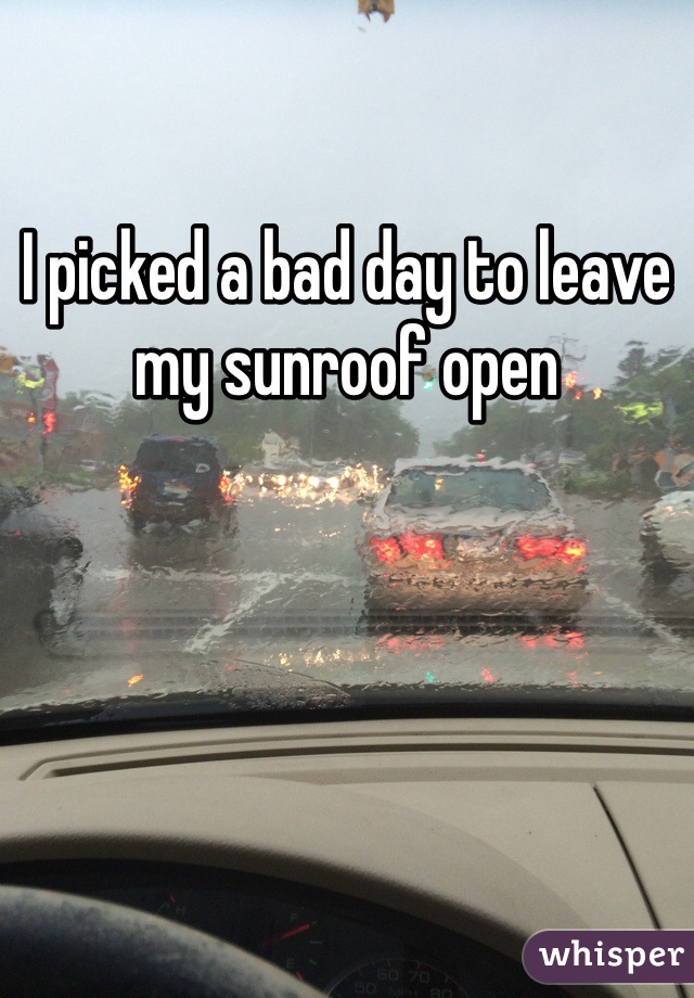 I picked a bad day to leave my sunroof open 