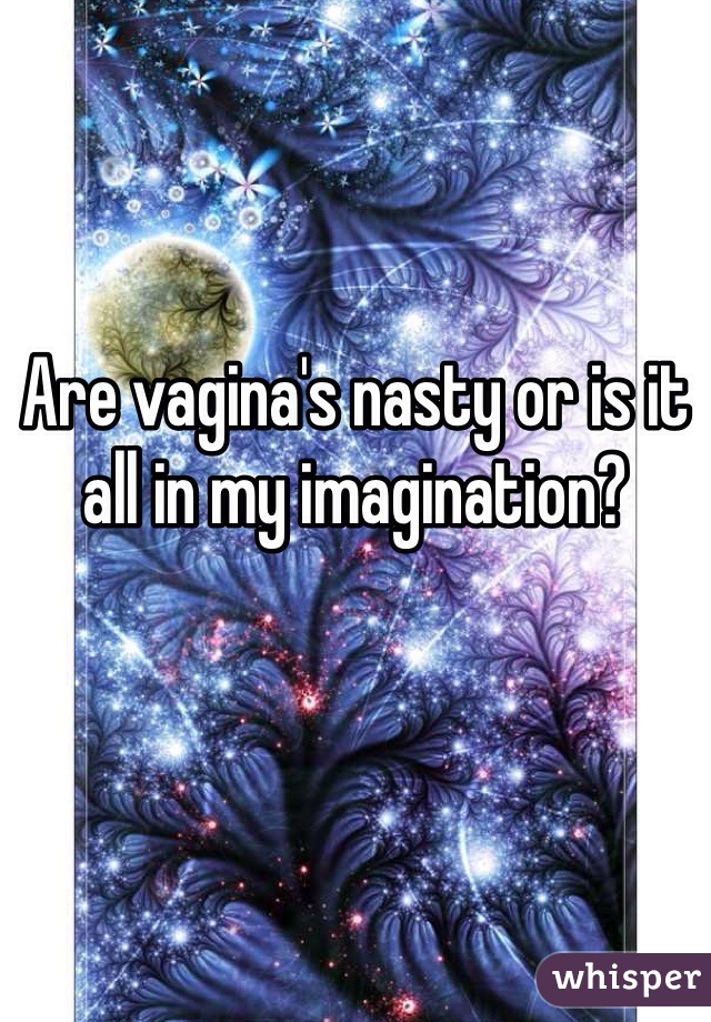 Are vagina's nasty or is it all in my imagination?