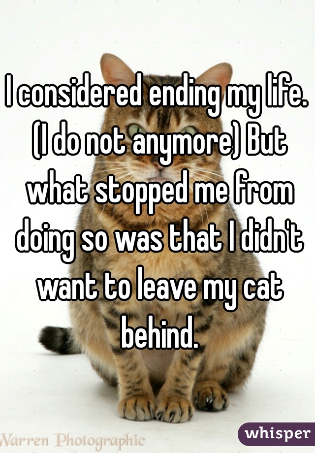 I considered ending my life. (I do not anymore) But what stopped me from doing so was that I didn't want to leave my cat behind.